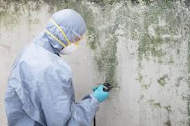 Trusted Owensville, IN Mold Remediation Experts